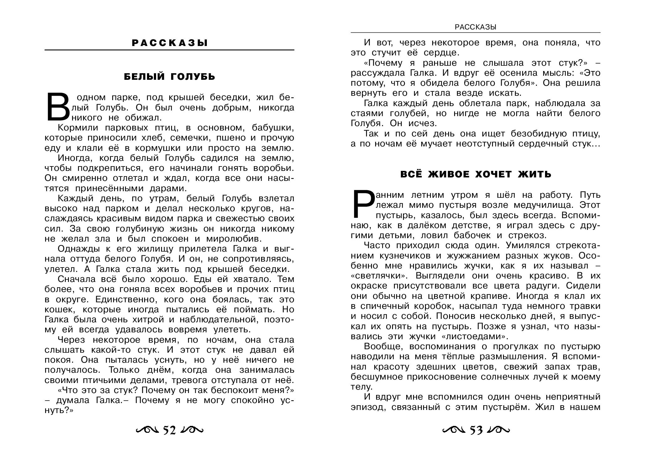 image-27