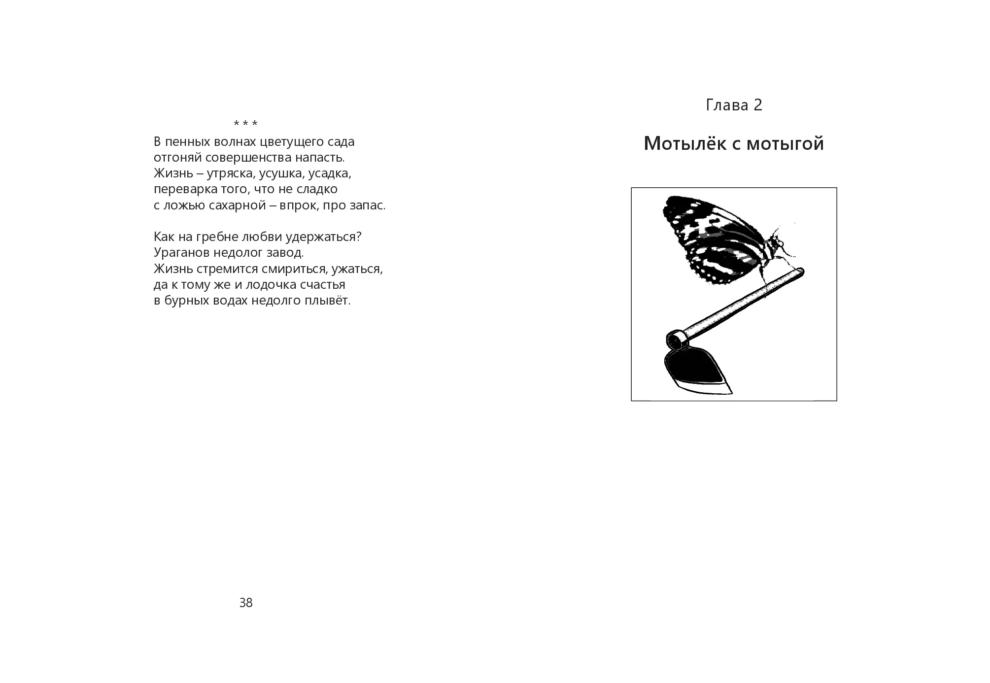 image-19