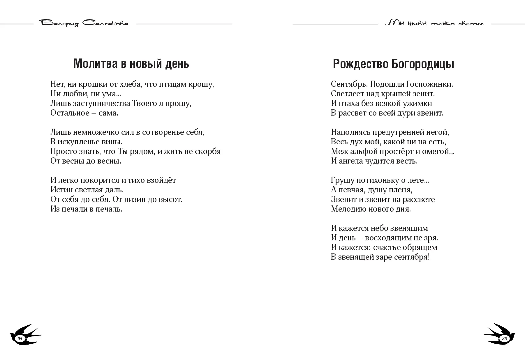 image-17