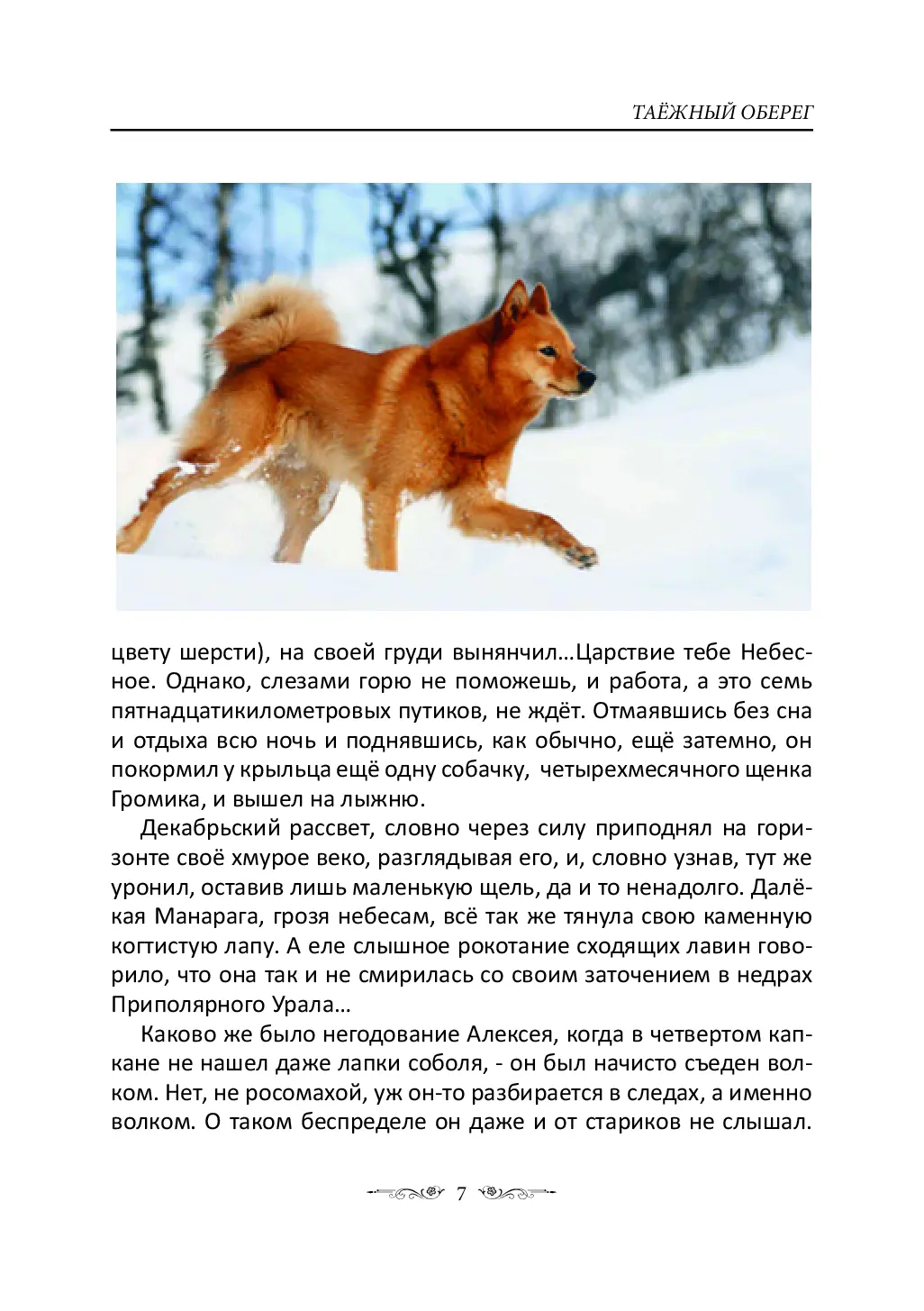 image-6