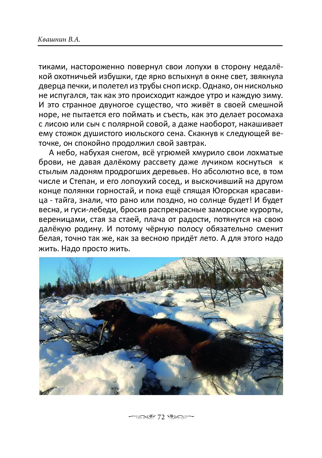 image-71