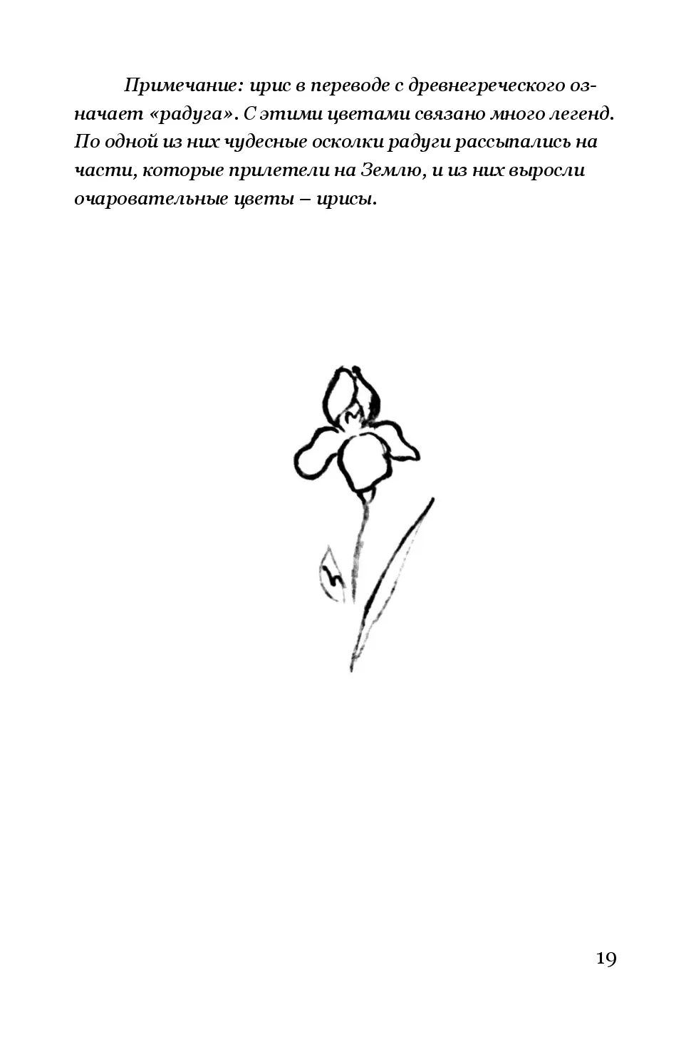 image-18