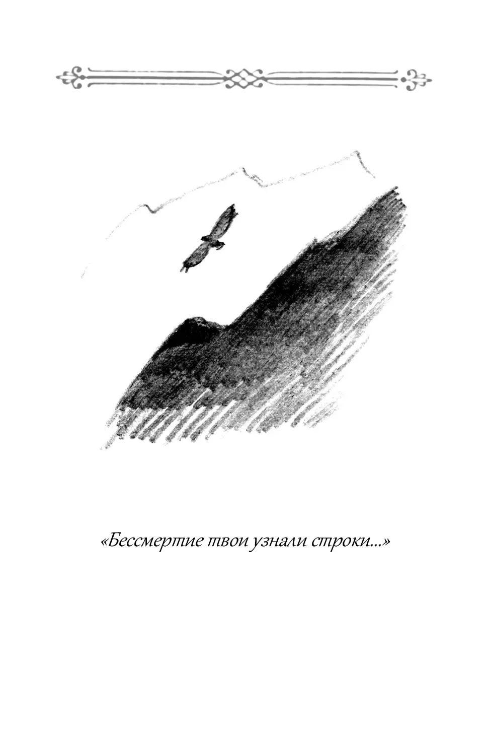image-48